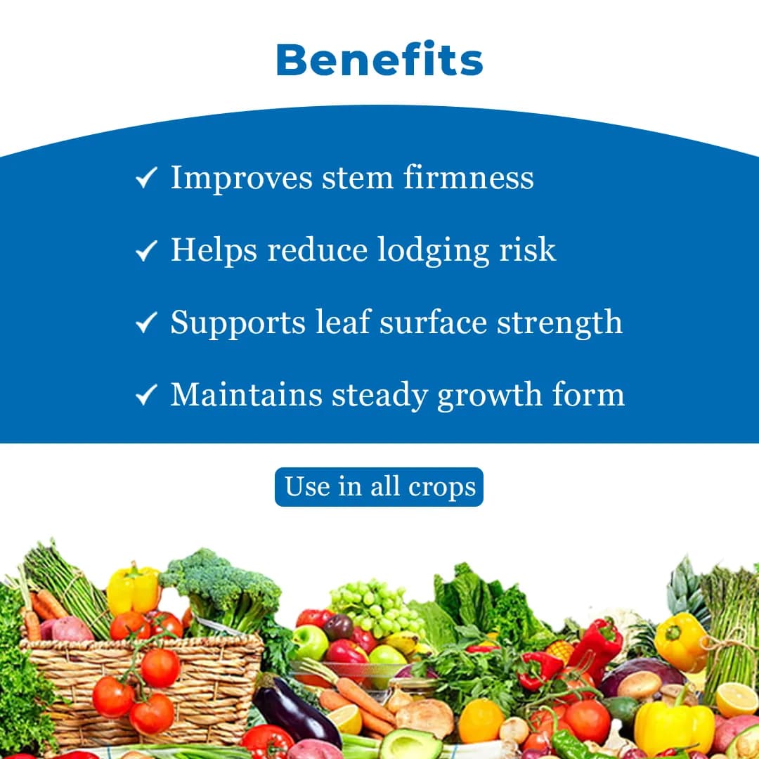 Anand Sil (Colloidal Silica) Plant Growth Promoter, Accelerates the Process of Photosynthesis, Enhances Nutrient Yield And Uptake - Image 4