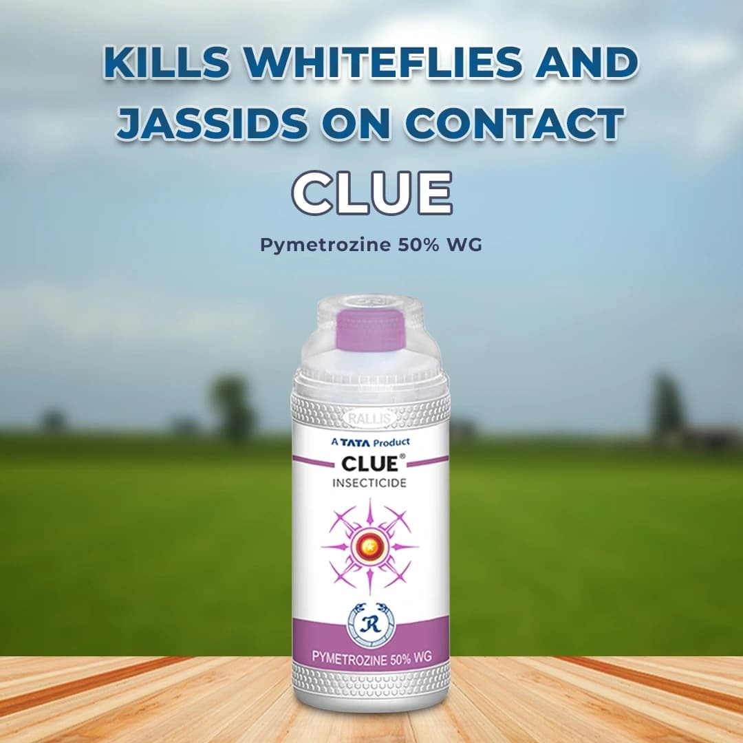 Tata Clue Insecticide - Image 2