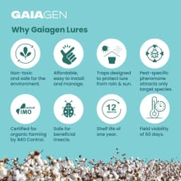 Gaiagen Tobacco Caterpillar (Spodoptera Litura) Pheromone Lure And Insect Funnel Traps, IMO Certified. 8