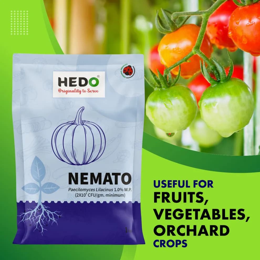 HEDO Nemato (Paecilomyces Lilacinus 1.0% WP) Bio Pesticide, Effective Against White Grubs And Other Harmful Soil Pathogens - Image 3
