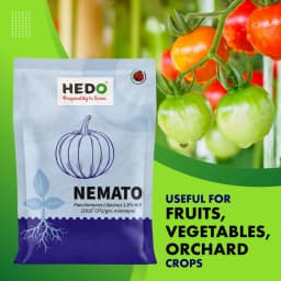 HEDO Nemato (Paecilomyces Lilacinus 1.0% WP) Bio Pesticide, Effective Against White Grubs And Other Harmful Soil Pathogens 3