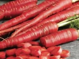 S K ORGANIC Red Carrots Seeds (Gajarbeej) For Cultivation And Microgreens 4