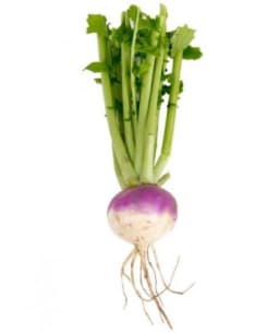 Urja Turnip Purple Top White IMP, Roundish shape, Beet Root Seeds, Best Variety 3