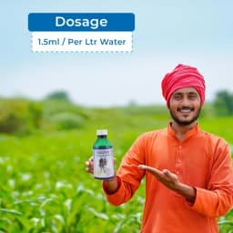 Shree Industries Kaizen Chlorpyriphos 50% EC Insecticide, Contact, Stomach and Fumigation Against Broad Spectrum of Pests and Beetles 5