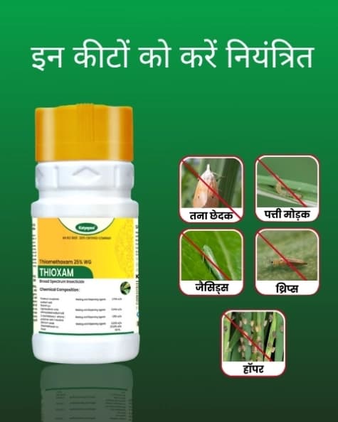 Katyayani Thioxam Thiamethoxam 25%WG Insecticide for Plants and Home Garden control for Sucking Pests Leaf Folder Paddy Whitefly Thrips In Rice Cotton - Image 3