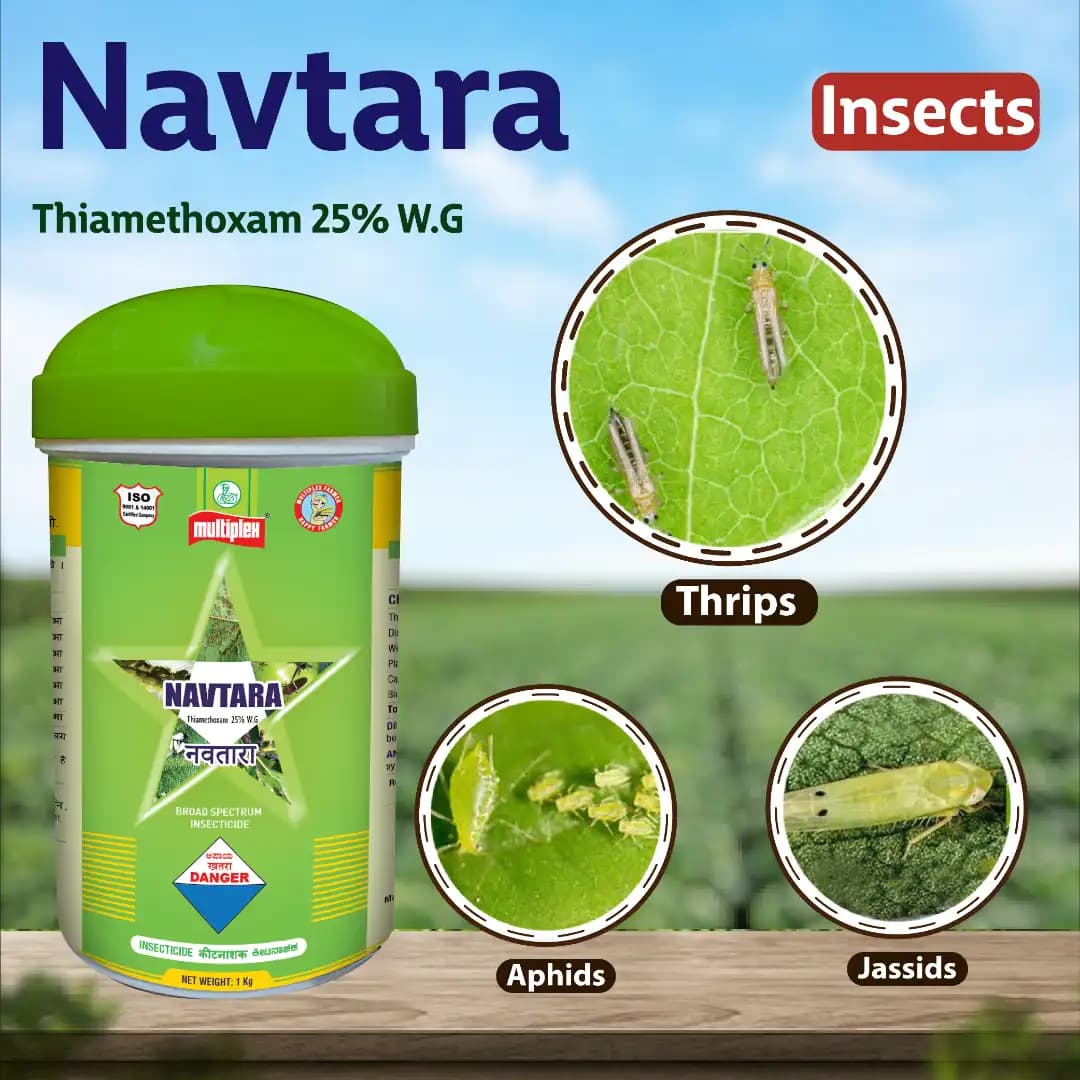 Multiplex Navtara Thiamethoxam 25% WG, Broad-Spectrum Systemic Insecticide, Use For Paddy, Cotton And Vegetables - Image 3