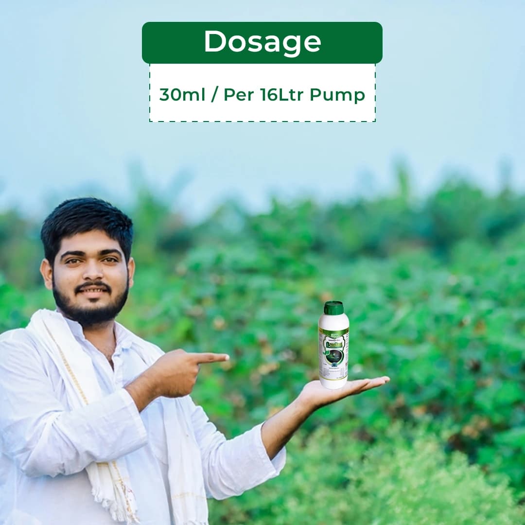 BACF Bcontrol Validamycin 3% L. Fungicide, Targets Paddy, all bacterial diseases and Sheath Blight, Non Systematic antibiotic with fungicide action - Image 5