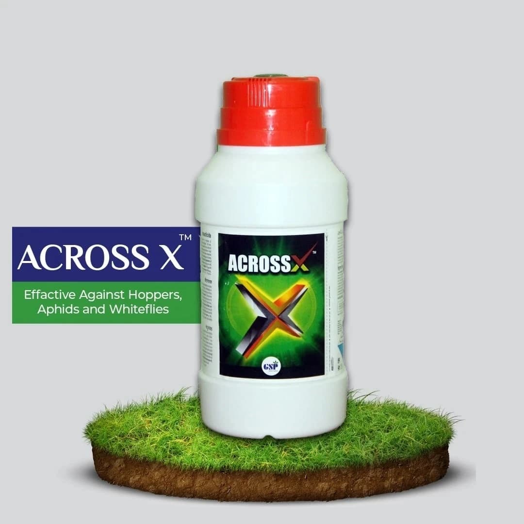 GSP Across X Pymetrozine 50% Insecticide, Powerful Control For Paddy Planthopper, Aphids and Whiteflies - Image 3