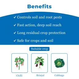 Indofil Alecto Broflanilide 20% SC Contact and Translaminar Insecticide, Control On Lepidopteran Pests 4