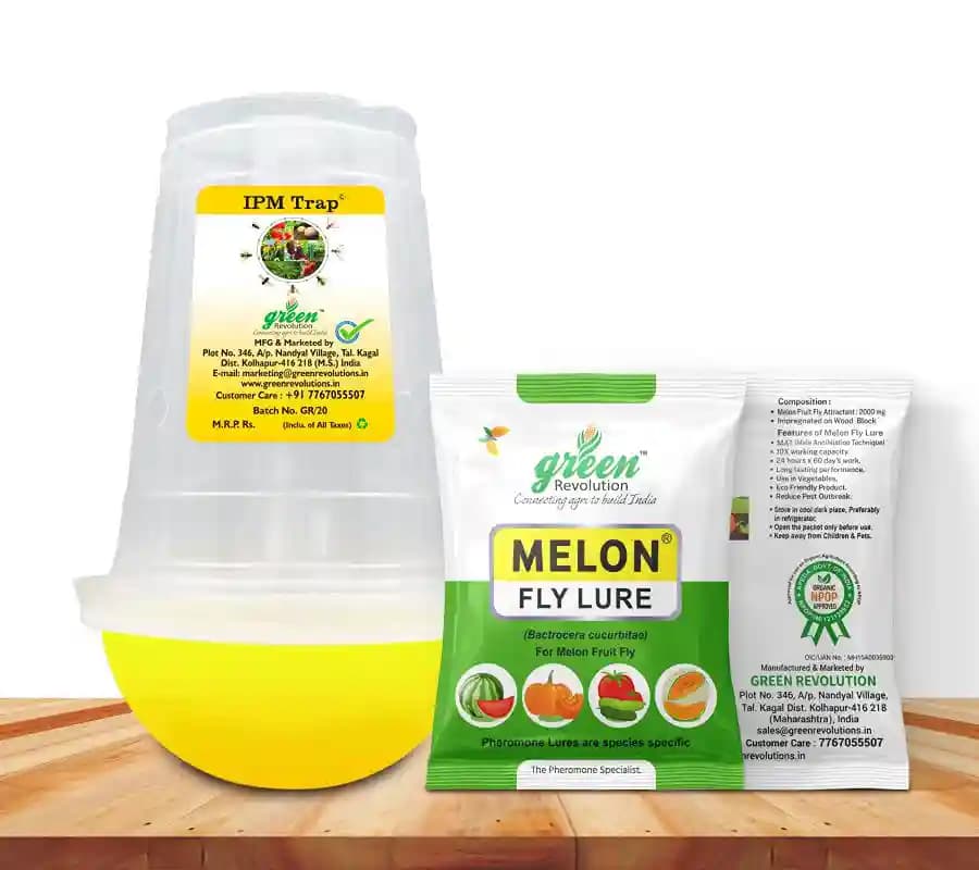 IPM Trap With Melon Fly Pheromone Lure For Controlling Bactrocera Cucurbitae. For Cucumber, Bottle Gourd, Bitter Gourd, Pumpkin, Water Melon - Image 7