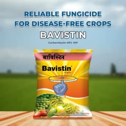 Crystal Bavistin Carbendazim 50% WP Systemic Fungicide Crop Protection Best Use. 2
