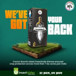 IIL Shinwa Fluxametamide 10% EC Insecticide, Control of Lepidopteran, Thrips, Leaf Minor, Other Sucking Pests 6