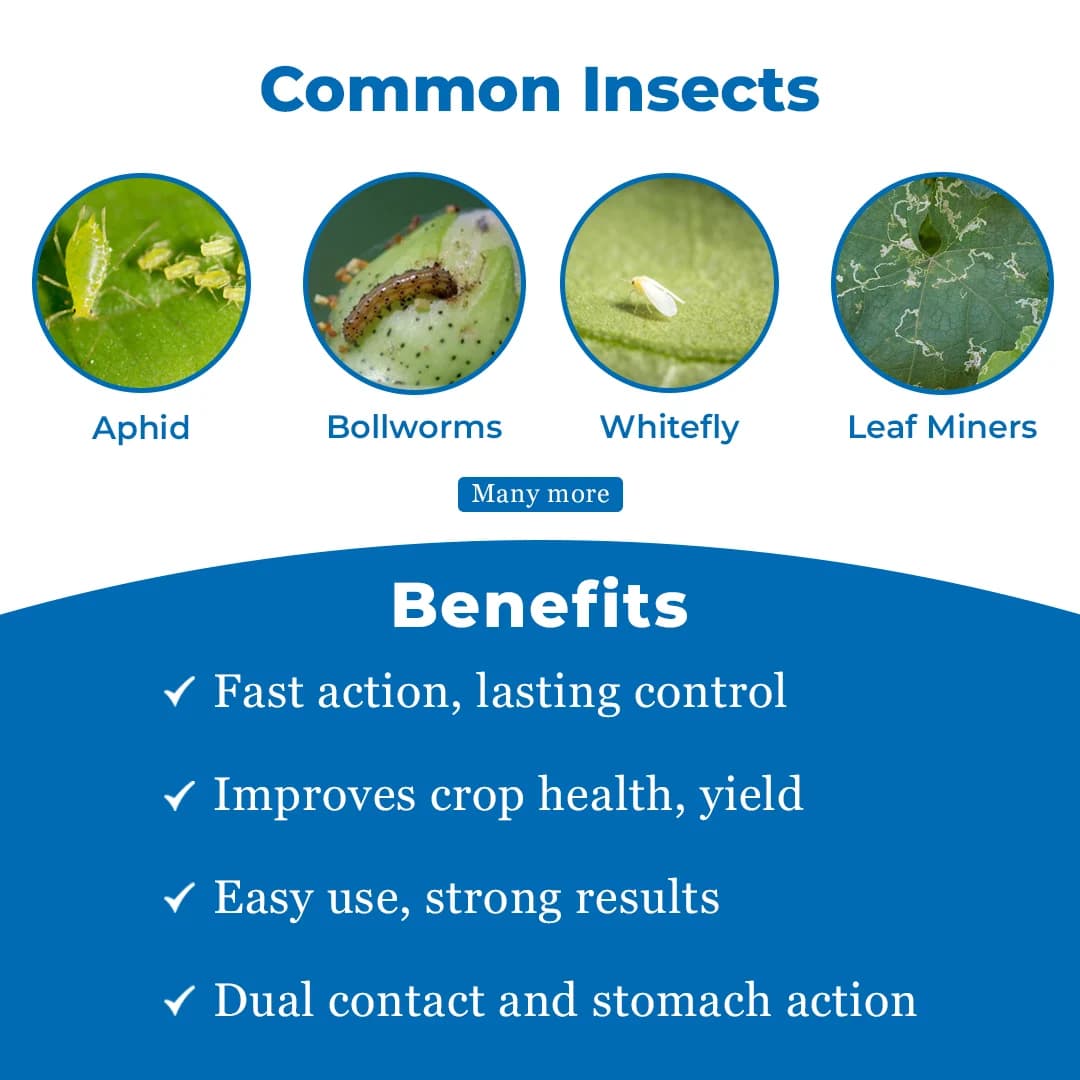 BACF Priorat 404 Profenofos 40% + Cypermethrin 4% EC Insecticide, Effective Against Caterpillars, Aphids and Mites - Image 3