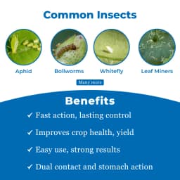 BACF Priorat 404 Profenofos 40% + Cypermethrin 4% EC Insecticide, Effective Against Caterpillars, Aphids and Mites 3