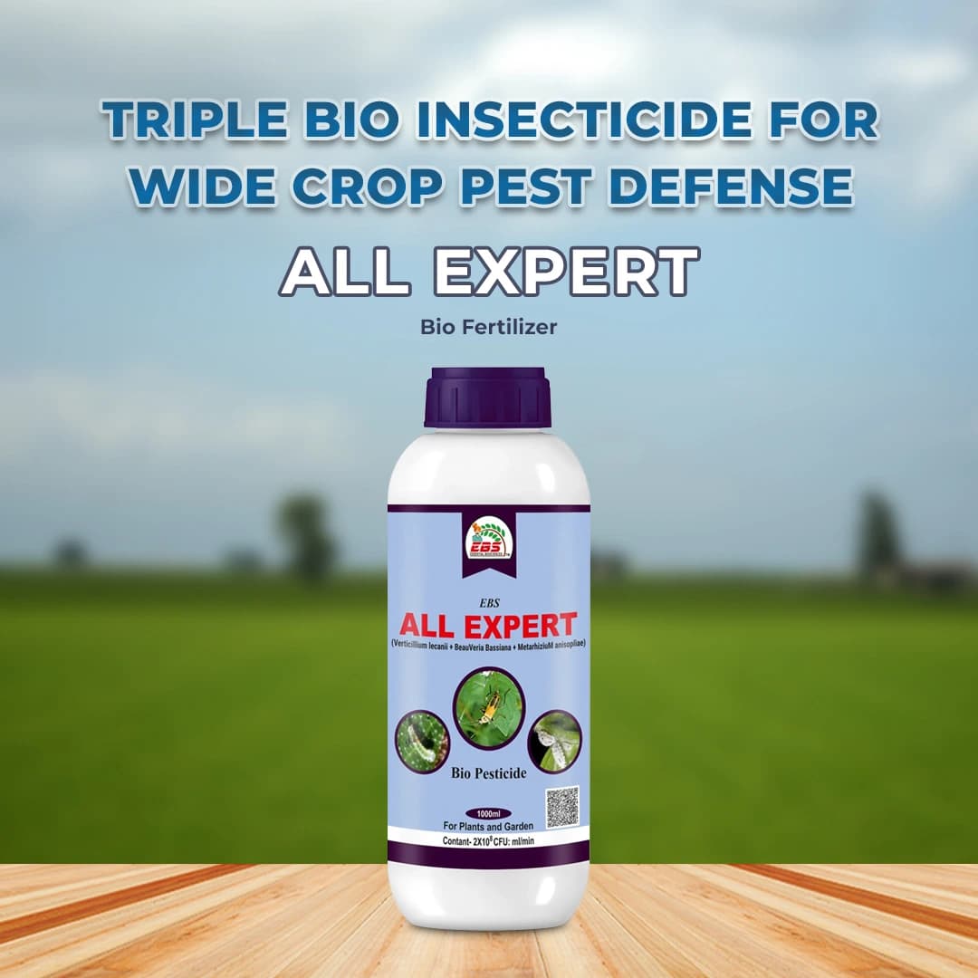 EBS All Expert (Verticillium Lecanii + Beauveria Bassiana + Metarhizium Anisopliae), Control Aphids, Jassids, White Flies, Thrips, And Various Crops. - Image 3