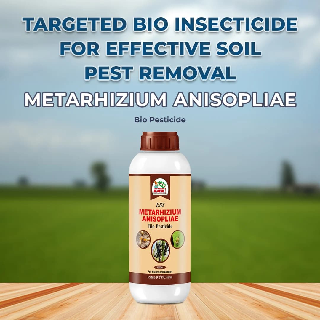 EBS Metarhizium Anisopliae Bio Pesticide, Control Root Weevils, Plant Hoppers, Japanese Beetle, Black Vine Weevil On All Type Of Crops - Image 3