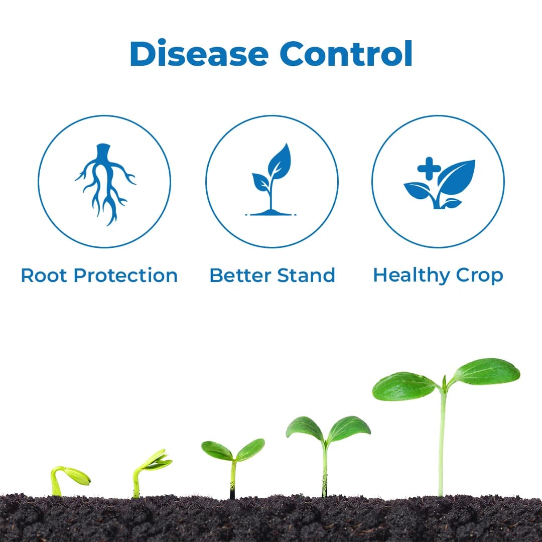डॉ. बैक्टो का बैक्टस 4K बैसिलस सबटिलिस जैव-कवकनाशी, पौधों के फंगल रोगजनकों के विकास को रोकता है और पौधों की वृद्धि में मदद करता है - Image 3