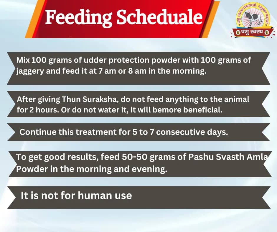 PASHU SVASTH THUN SURAKSHA, Animal Health Supplements, Natural Solution, Efficient Bovine Mastitis (Thanela) And Udder Health - Image 4