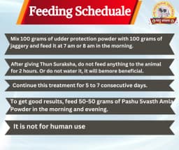 PASHU SVASTH THUN SURAKSHA, Animal Health Supplements, Natural Solution, Efficient Bovine Mastitis (Thanela) And Udder Health 4