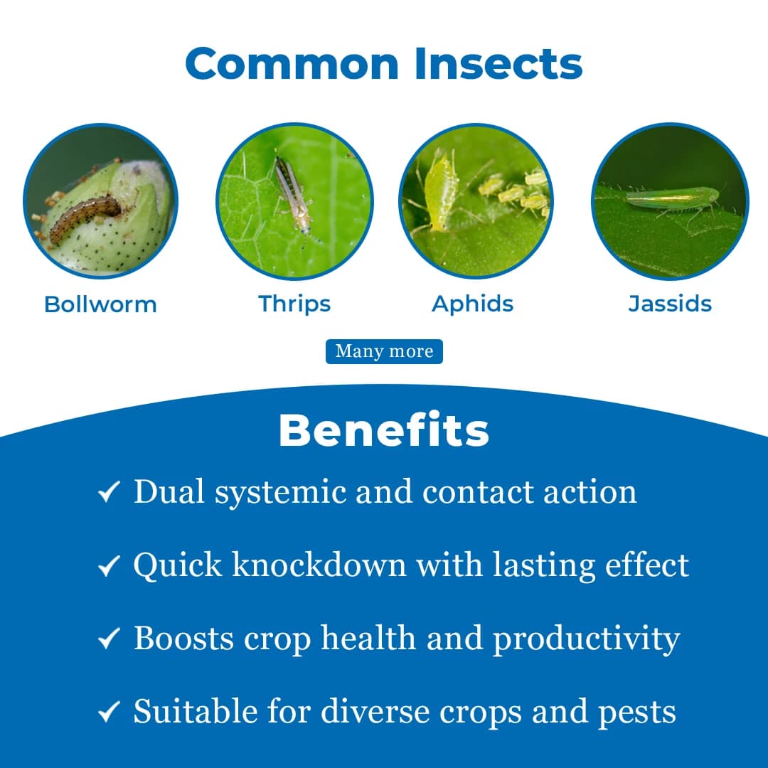 Katyayani Chakrawarti Thiamethoxam 12.6% + Lambda cyhalothrin 9.5% ZC Dual Mode Insecticide For Plants - Image 3