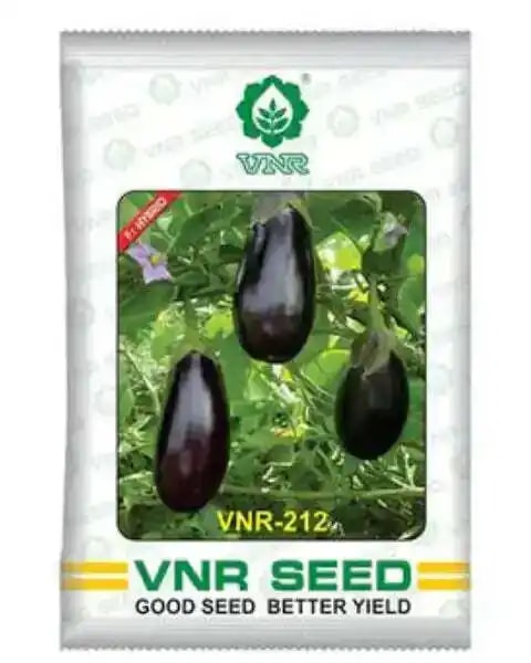 VNR-212 Brinjal (Baingan) Seeds