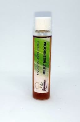 Shroomness Milky Mushroom Liquid Culture, Active Mycelium Liquid Spawn, 100% Clean, Concentrated 3