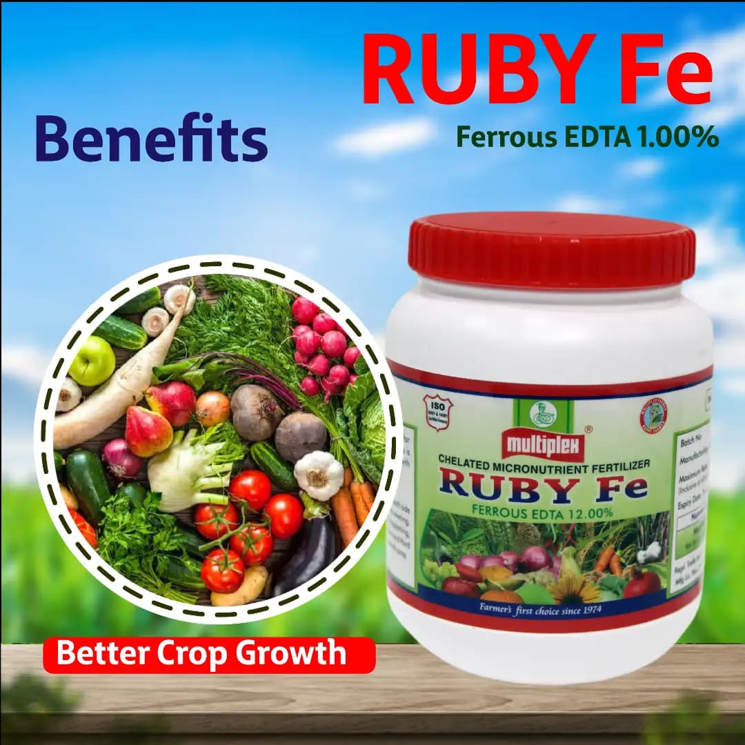 Multiplex Ruby Fe Ferrous EDTA 12% Chelated Micronutrient Fertilizer, High Quality Iron For All Crop - Image 3