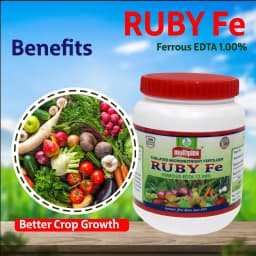 Multiplex Ruby Fe Ferrous EDTA 12% Chelated Micronutrient Fertilizer, High Quality Iron For All Crop 3