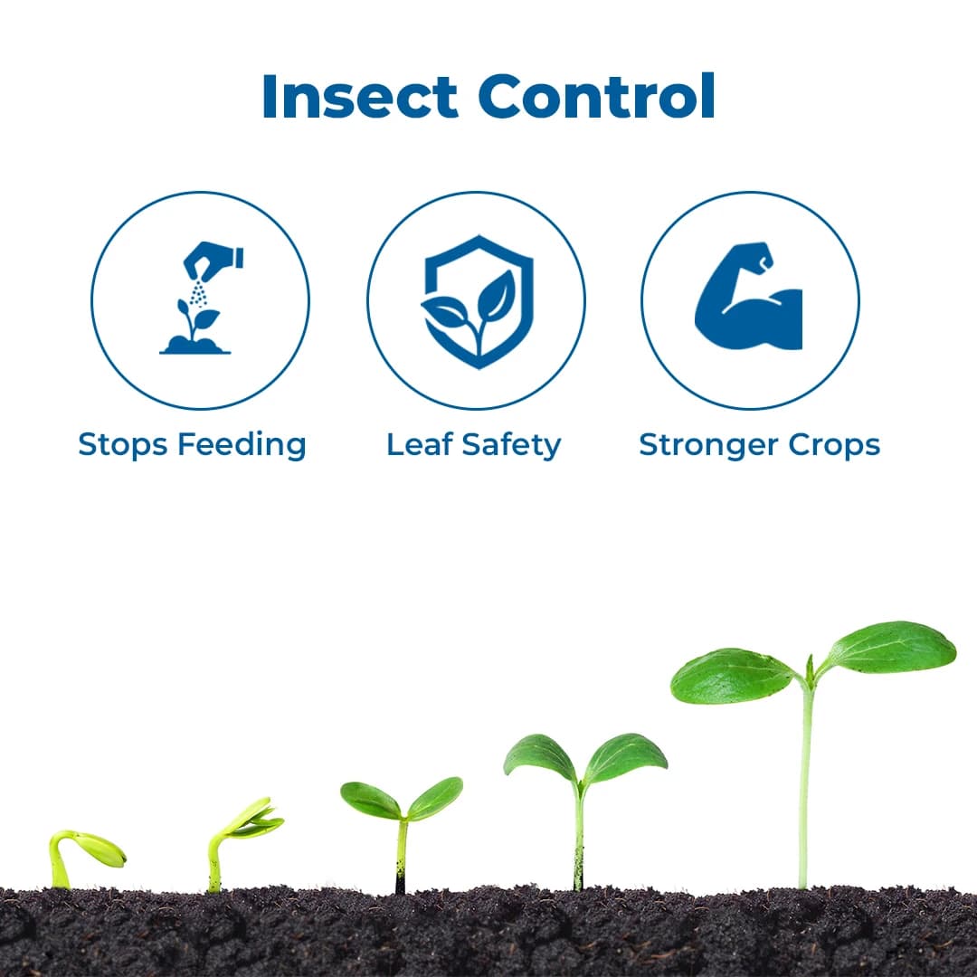 Chemley Catgen Insecticide - Image 3