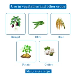 Dhanuka Areva Super Thiamethoxam 30% FS Insecticide, Systemic Seed Dressing For Seed Protection 4