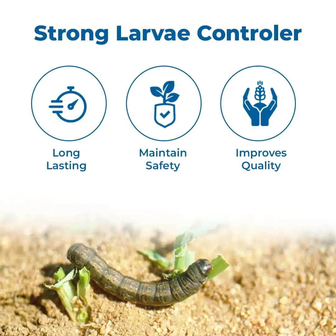 Bayer Fame Insecticide - Image 3