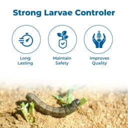 बायर फेम फ्लूबेंडियामाइड 480 एससी (39.35% डब्ल्यू/डब्ल्यू) कीटनाशक तंत्रिका तंत्र पर कार्य करता है, फ्लूबेंडियामाइड कीटों को बाधित करता है 3