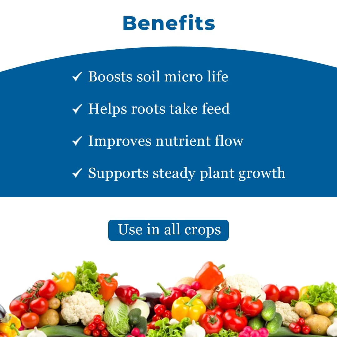 Aanad Agro Dr. Bacto\'s Bactomine, Liquid Biofertilizer, Helps In Restoring Soil Biodiversity and Fertility to Improve Crop Yield - Image 4