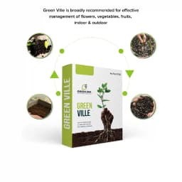 Green Era Green Ville, Organic Plant Food Ready to Use, Soil Mixture with Fertilizers for Plants 4