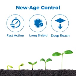 PI Pressedo Cyclaniliprole 10% DC Insecticide, Target to Control Lepidopteran Pests 3