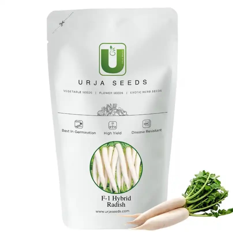 Urja F1 US 66 Hybrid Radish Seeds, Muli Ke Beej, Muda na Beej, Best In Germination.