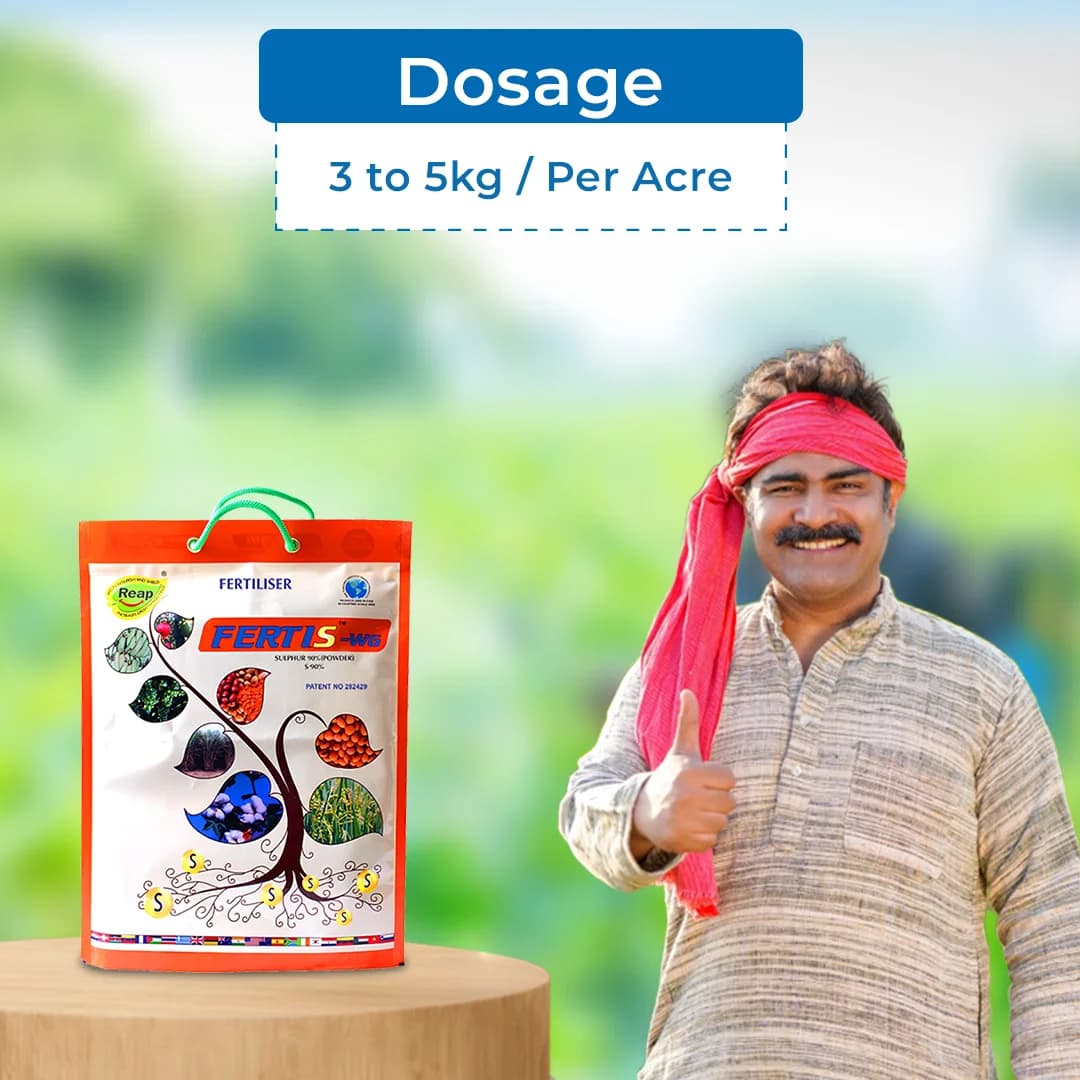 Sulphur Mills Fertis 90% WDG Sulphur Powder, Improves the Soil Health, Increase Oil Content In Oil Seed Crops - Image 5