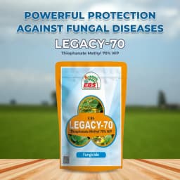 EBS LEGACY-70 Thiophanate Methyl 70% WP Fungicide For Anthracnose, Apple Scab, Powdery Mildew, and Several Leaf Spot Diseases. 2