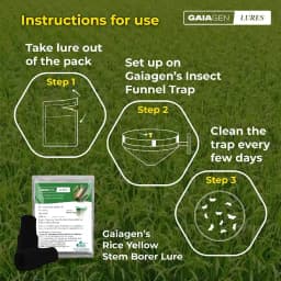 Gaiagen Yellow Rice Stem Borer (Scirpophaga Incertulas) Pheromones Lure And Funnel Insect Traps Combo, IMO Certified. 9