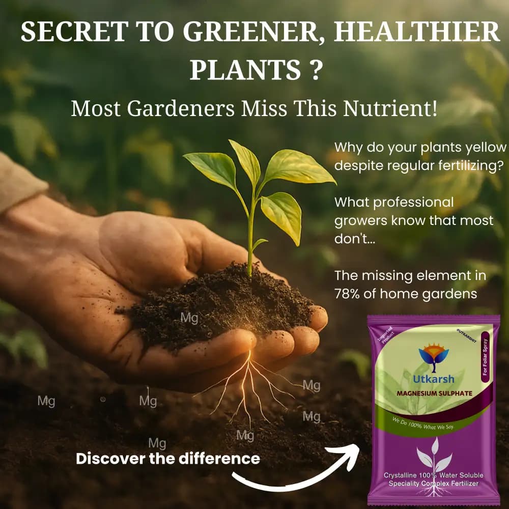 Utkarsh Magnesium Sulphate (Epsom Salt) (MgSO4.7H2O), Magnesium (as Mg) 9.5% and Sulphur (as S) 12% - Image 3