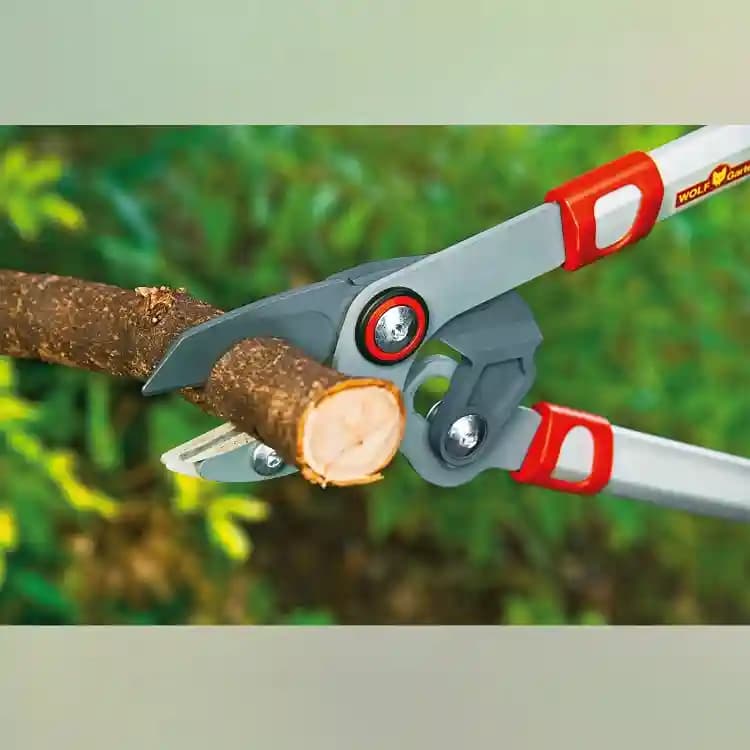 Wolf Garten Bypass Lopper Comfort Plus RR-750 WG, Steel Bypass Lopper 40mm, Silver - Image 1