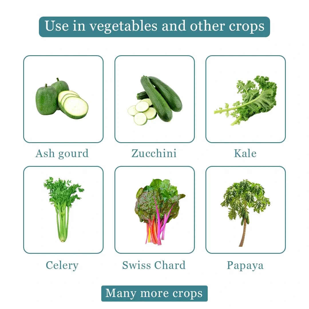 NB-80 Sticking Agent, Used with Herbicides, Insecticides, Fungicides, and Miticides - Image 4