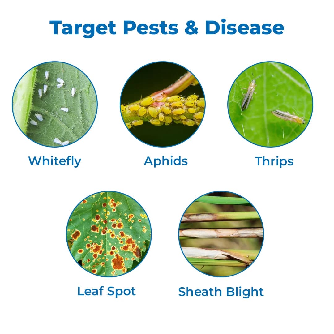Sudarshan Triple Star - Trifloxystrobin 6% + Thiamethoxam 24% + Thiophanate Methyl 9.5% FS - Image 3