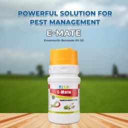 JU E-Mate Emamectin Benzoate 5% SG Insecticide, Contact And Stomach Action 2