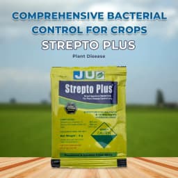 JU Strepto Plus Broad Spectrum bactericide for Plant Disease Control 2