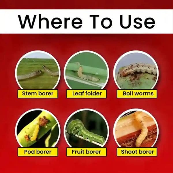 Katyayani Chakraveer Chlorantraniliprole 18.5% SC Insecticide, Advanced Effective Pest Control and Crop Protection - Image 3