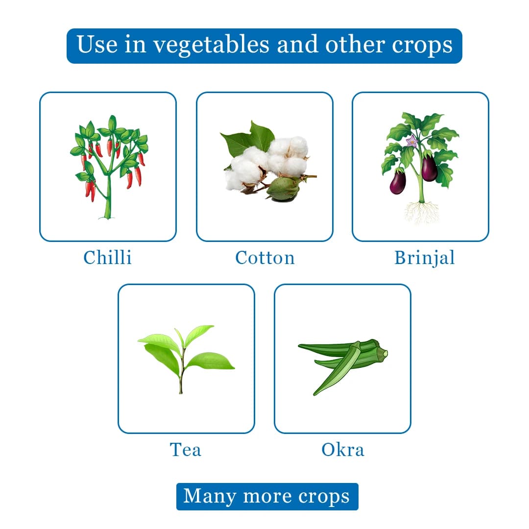 Sumitomo Meothrin Fenpropathrin 30% EC Insecticide and Acaricide Control Of Aphids, Jassids. - Image 4