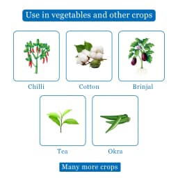 Sumitomo Meothrin Fenpropathrin 30% EC Insecticide and Acaricide Control Of Aphids, Jassids. 4