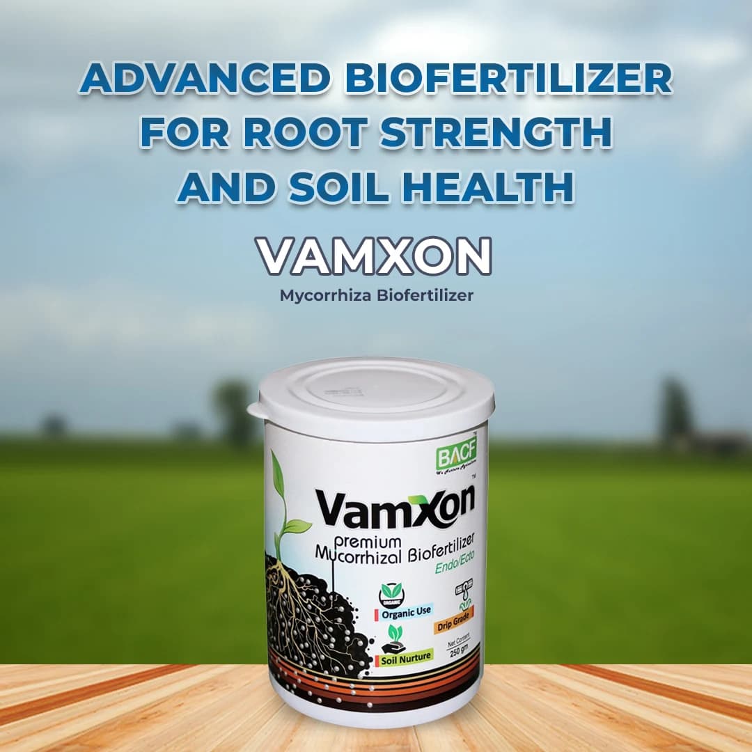 Vamxon - Vesicular Arbuscular Mycorrhiza Biofertilizer - Image 2