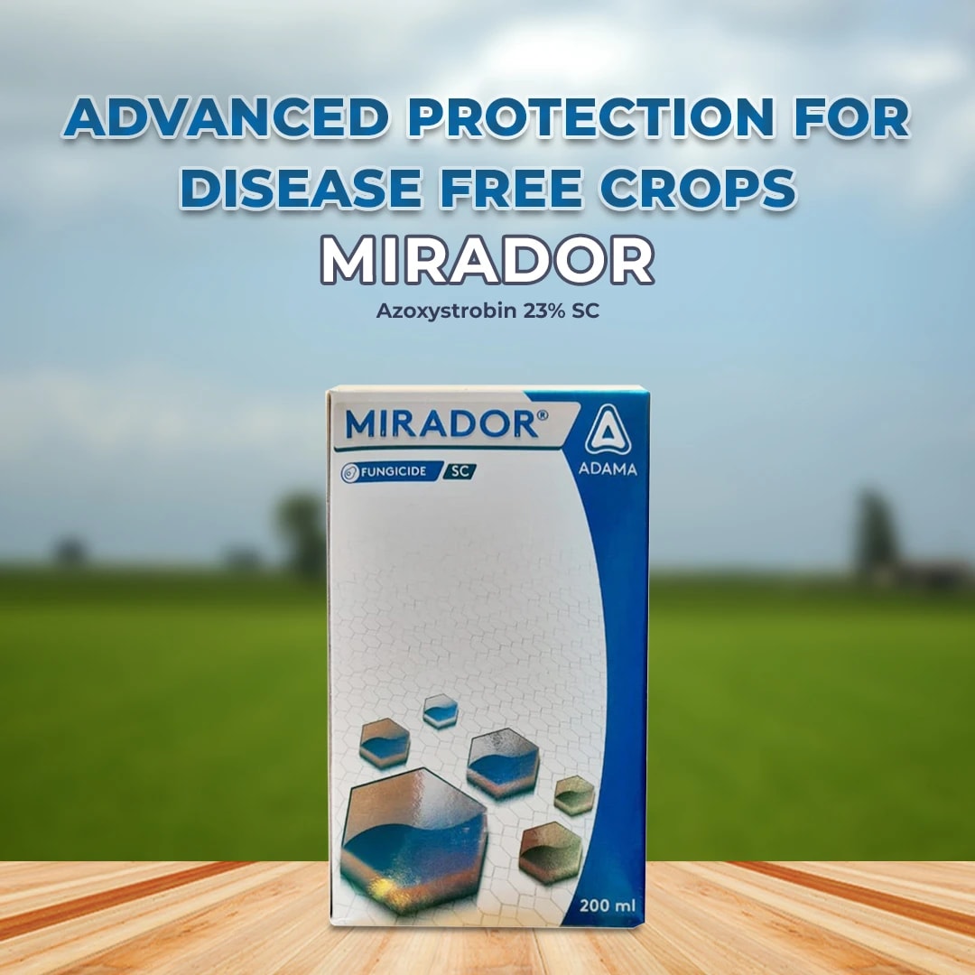 Adama Mirador Fungicide - Azoxystrobin 23% SC